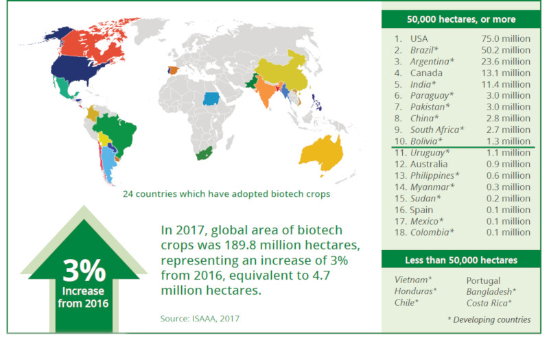 Gmos In Spain All You Need To Know